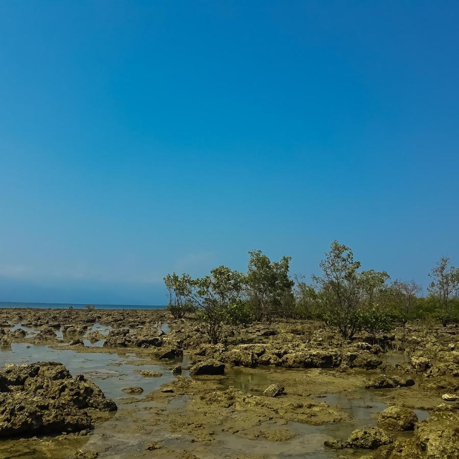 Seasta Beach Resort Балер Екстер'єр фото